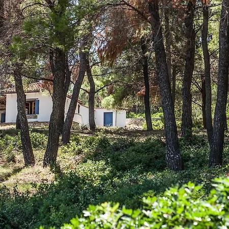 Kokkinokastro Villa *